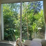 Angelina Villa
