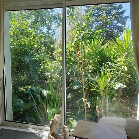 Angelina Villa