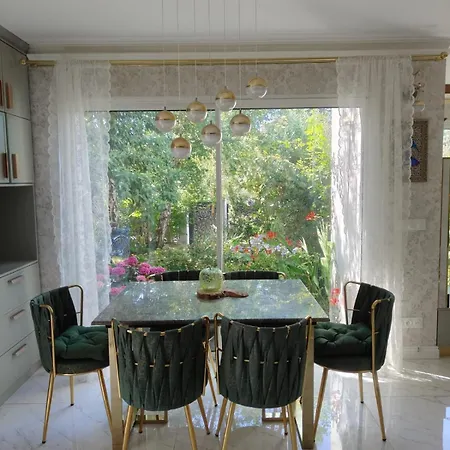 Angelina Villa